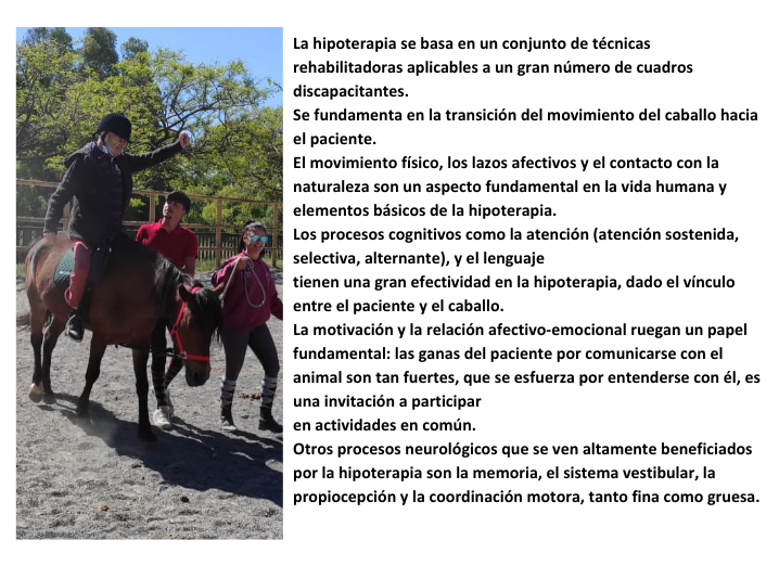 Hipoterapia